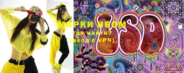 индика Беломорск