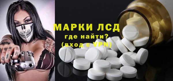 индика Беломорск