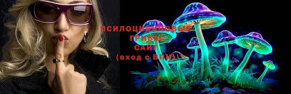 метадон Богданович