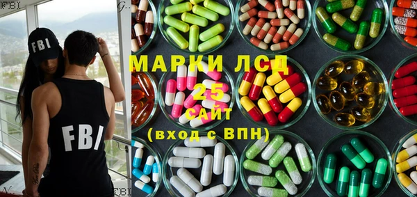 индика Беломорск