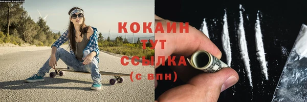 метадон Богданович