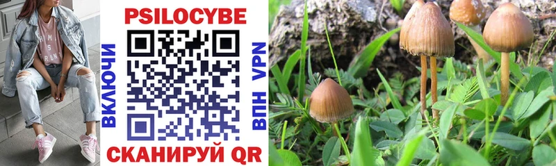 Галлюциногенные грибы Psilocybine cubensis  Калининец 