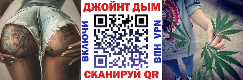 Каннабис планчик Калининец